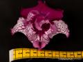 DS-Фифа